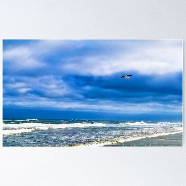 Item preview, Bird flying at the magnificent Atlantic Ocean designed and sold by Cinzia Sevignani.