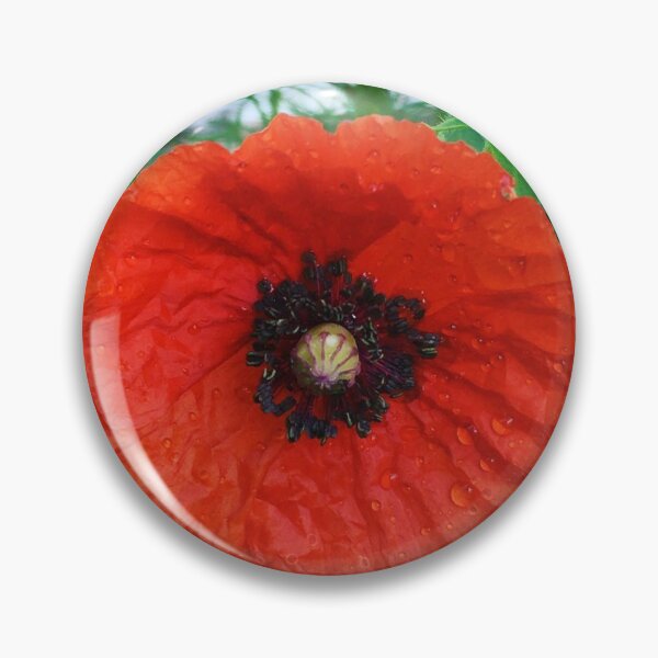 Aperçu de l'œuvre Coquelicot rouge créée et vendue par Crowe75.
