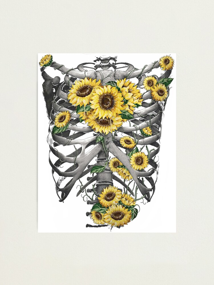 Lámina fotográfica «Anatomía del esqueleto de girasol» de artsyfashion |  Redbubble