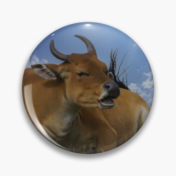 Item preview, Banteng Cattle designed and sold by rawshutterbug.