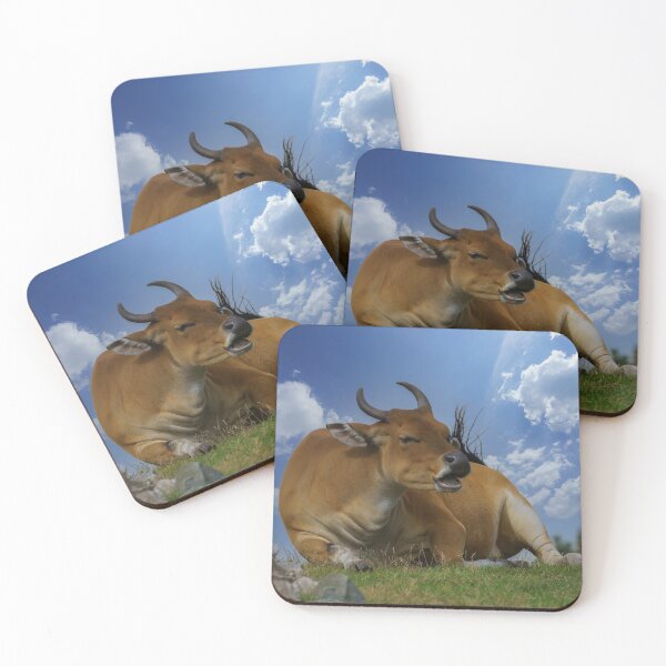 Item preview, Banteng Cattle designed and sold by rawshutterbug.