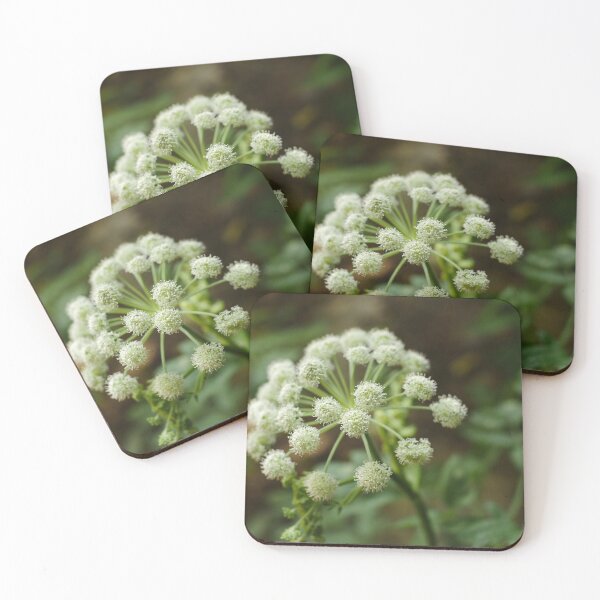 Item preview, Angelica of flowers inflorescence of close to designed and sold by mrivserg.