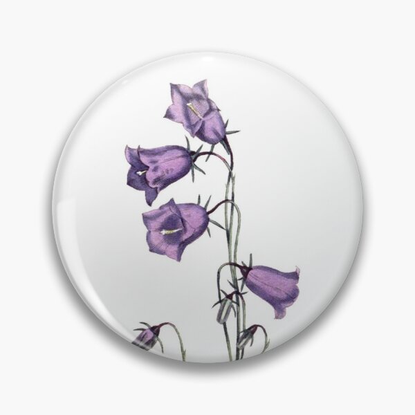 Item preview, Sydenham Edwards: Peach-Leaved Bellflower designed and sold by antaltamas89.