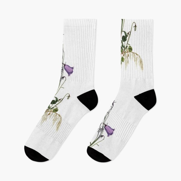 Item preview, Sydenham Edwards: Peach-Leaved Bellflower designed and sold by antaltamas89.