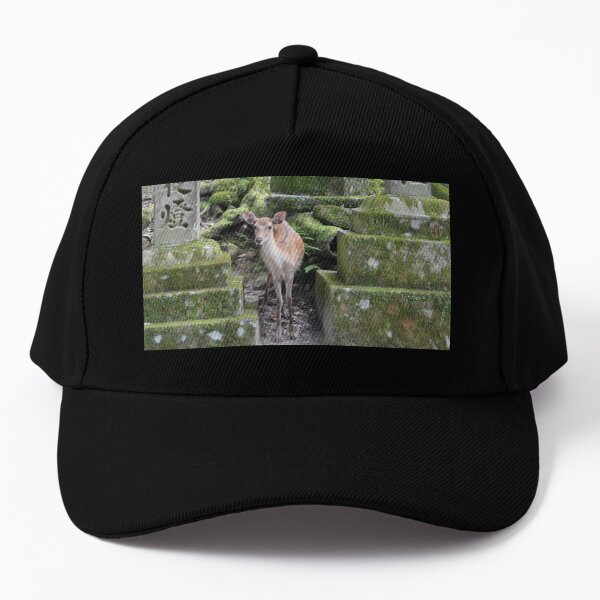 Nara, Japon Casquette de baseball