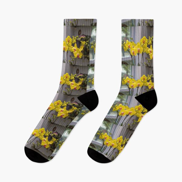 Item preview, USA. Philadelphia. Philadelphia Flower Show 2021. Yellow Orchids. designed and sold by vadim19.