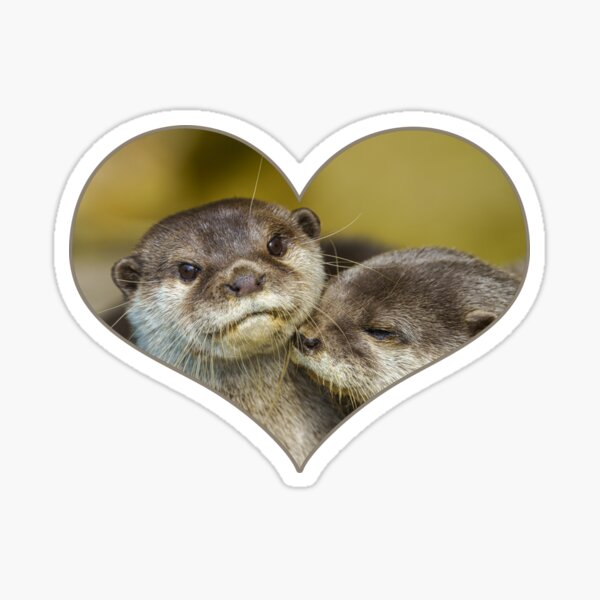 Artikel-Vorschau von Otterly Verliebt, designt und verkauft von rawshutterbug.
