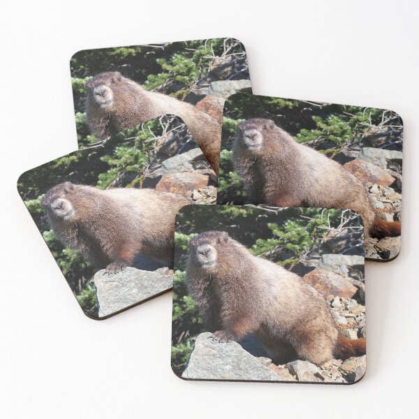 Item preview, Hoary Marmot designed and sold by Adam Clauson.