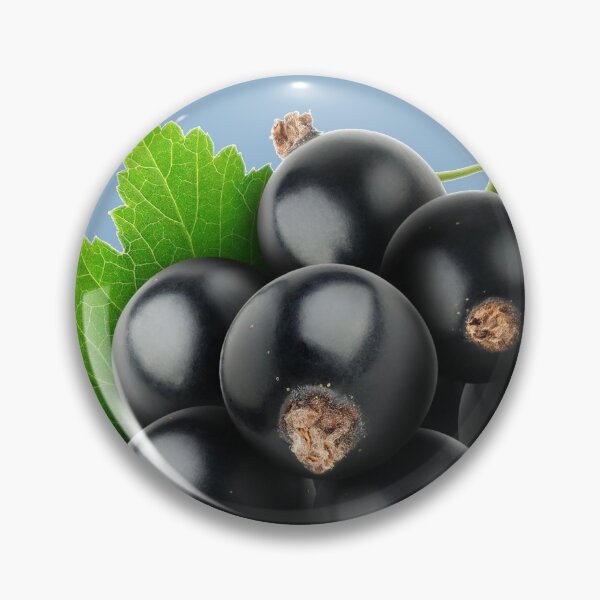Item preview, A Bunch Of Ripe Black Currants On A Twig With Leaves designed and sold by Phantasmal-2-do.