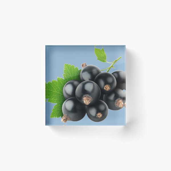 Item preview, A Bunch Of Ripe Black Currants On A Twig With Leaves designed and sold by Phantasmal-2-do.