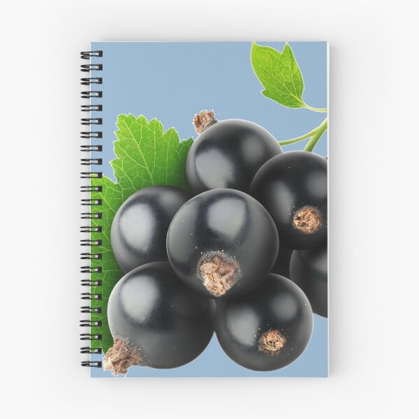 Item preview, A Bunch Of Ripe Black Currants On A Twig With Leaves designed and sold by Phantasmal-2-do.