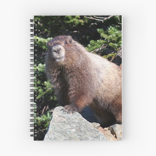 Item preview, Hoary Marmot designed and sold by Adam Clauson.