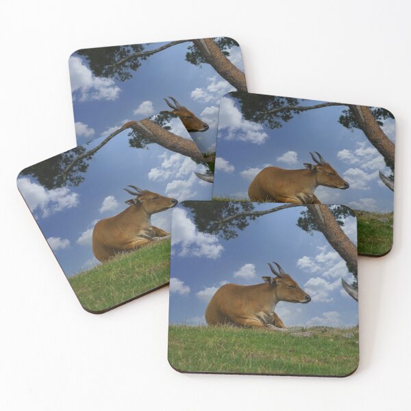 Item preview, Banteng Under A Tree designed and sold by rawshutterbug.