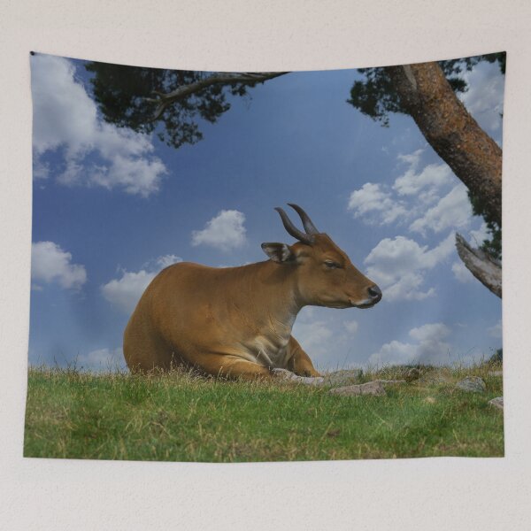 Item preview, Banteng Under A Tree designed and sold by rawshutterbug.