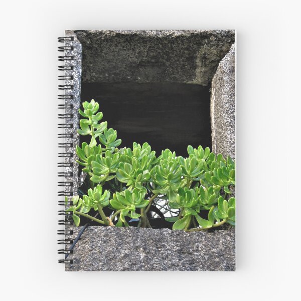 Item preview, Greasy plant designed and sold by ART22.