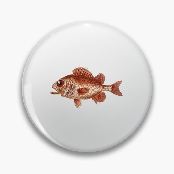 Item preview, Big Eyed Fish| Perfect Gift For you and friends | big eye gift designed and sold by anitatana.
