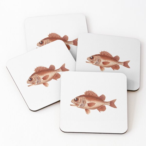 Item preview, Big Eyed Fish| Perfect Gift For you and friends | big eye gift designed and sold by anitatana.