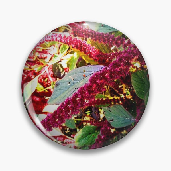 Item preview, Pretty Red Amaranthus Flower Blossoming Design designed and sold by EarthArtDesigns.