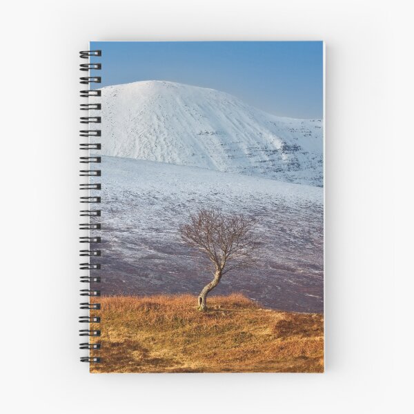 Item preview, Quinag and The Rowan Tree in Winter, Assynt. Scotland designed and sold by PhotosEcosse.
