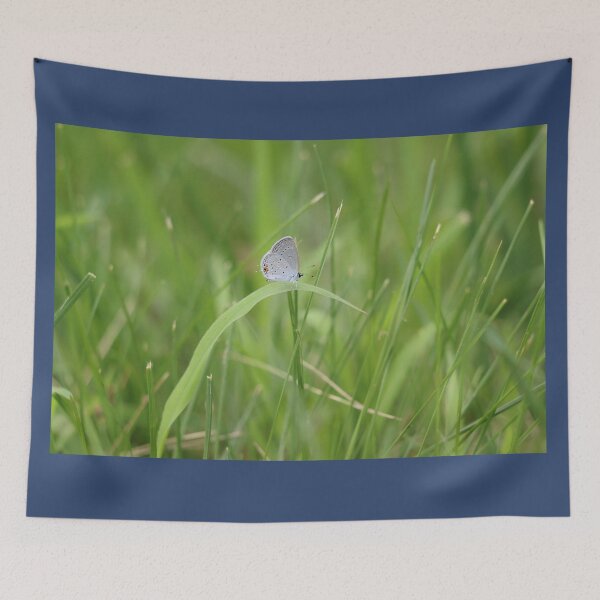 Item preview, Tiny Little Butterfly in the Grass designed and sold by LisaNaturePhoto.