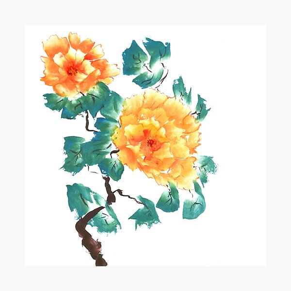 Peonies, painted in gouache. Photographic Print