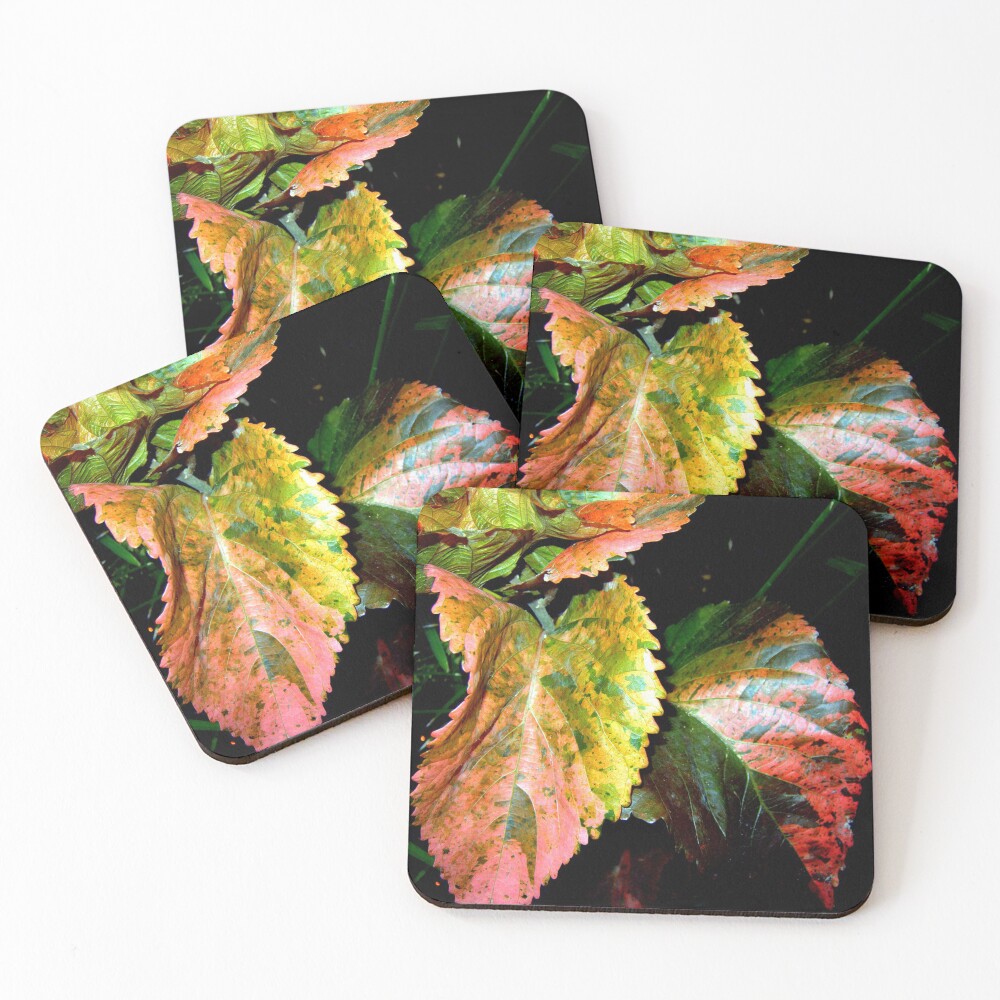 Item preview, Coasters (Set of 4) designed and sold by dps7777.
