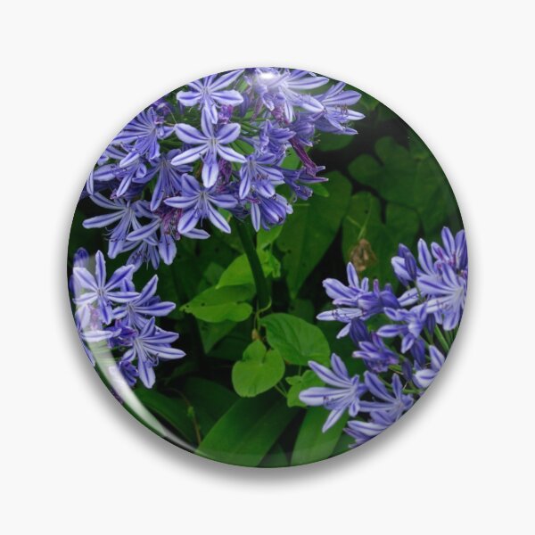 Item preview, Agapanthus Flowers designed and sold by GingerMan2550.