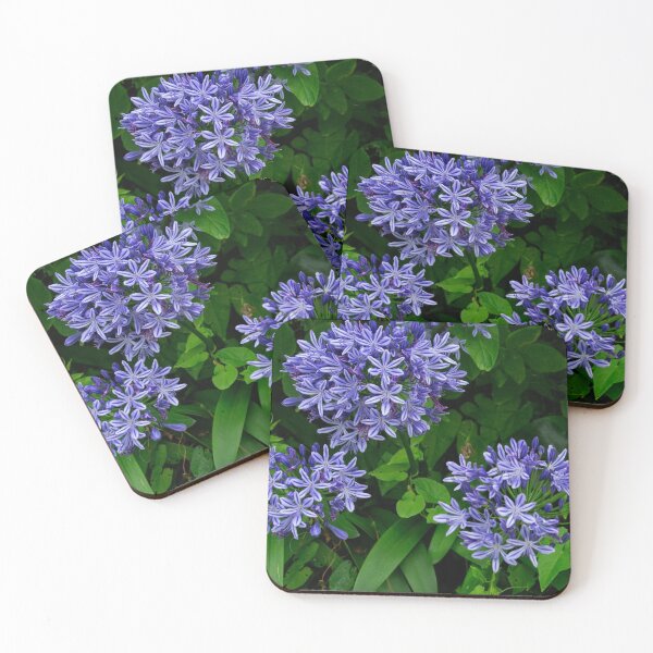 Item preview, Agapanthus Flowers designed and sold by GingerMan2550.