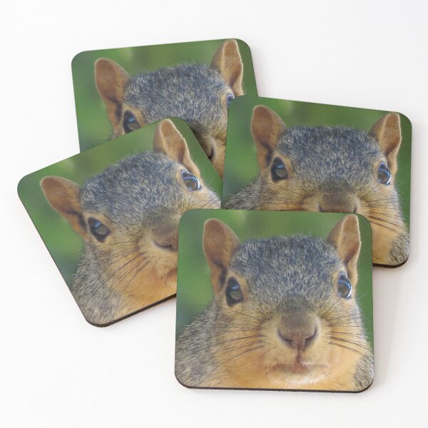 Item preview, Cute Backyard Squirrel Portrait - The Vicskburg Collection designed and sold by Sam Morrison.