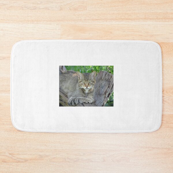 Item preview, A Gorgeous Scottish Wildcat designed and sold by Karen Thomson.