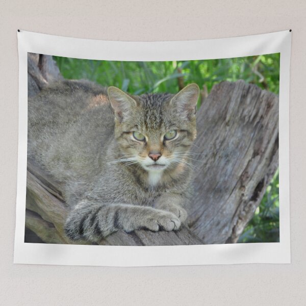 Item preview, A Gorgeous Scottish Wildcat designed and sold by Karen Thomson.