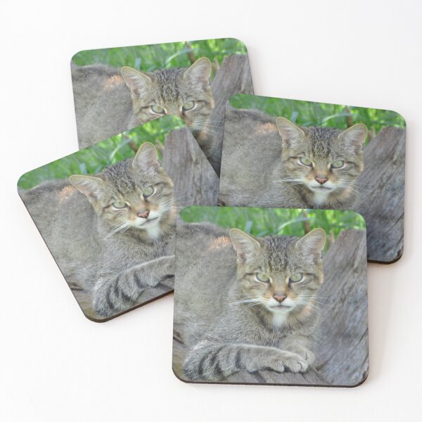 Item preview, A Gorgeous Scottish Wildcat designed and sold by Karen Thomson.