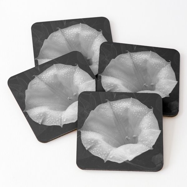 Item preview, White Moonflower with Water Droplets - The Vicksburg Collection designed and sold by Sam Morrison.