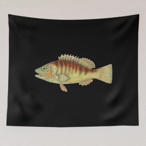 Item preview, Banded Sea Perch designed and sold by Evgenia's Fish Art.