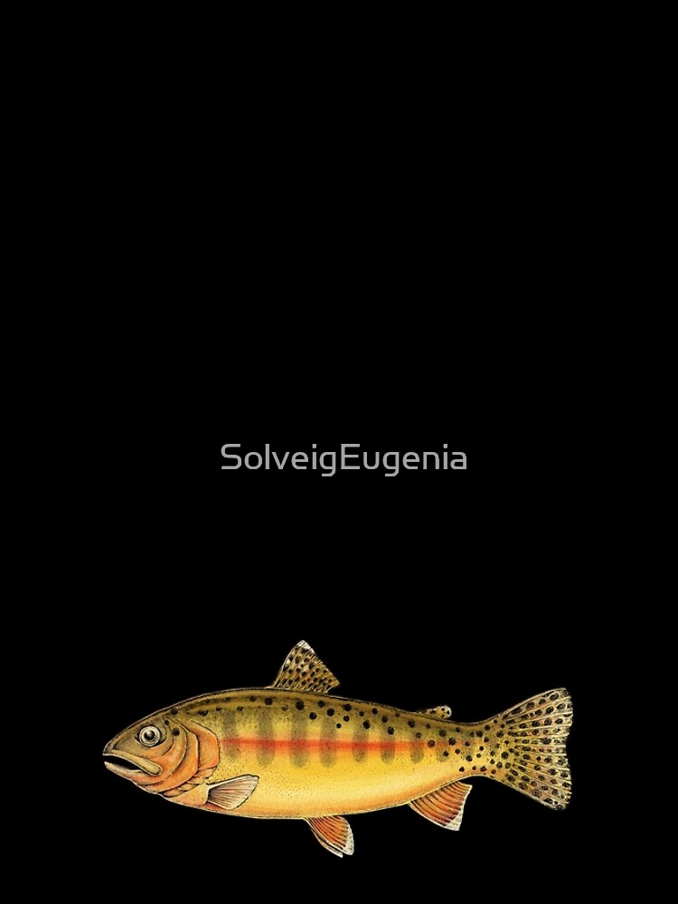 Golden Trout by SolveigEugenia