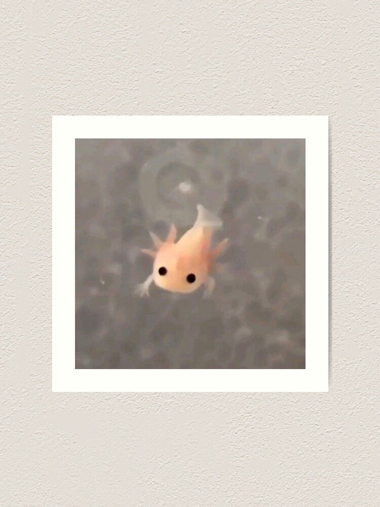 tiny little baby axolotl fish Art Print for Sale by nebulapetal