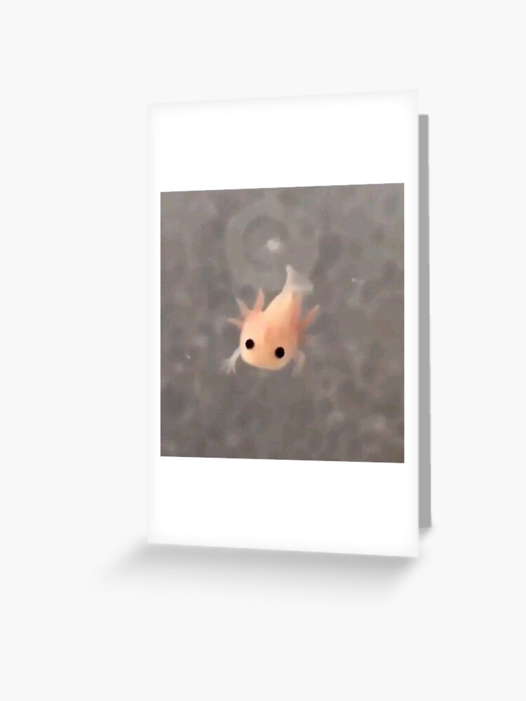 Tiny Little Baby Axolotl Fish Greeting Card For Sale By Nebulapetal Redbubble