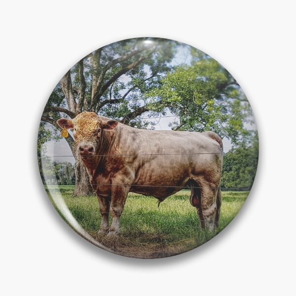 Item preview, Another cow enjoying the sunshine in sunny South GA designed and sold by Crobin1961.