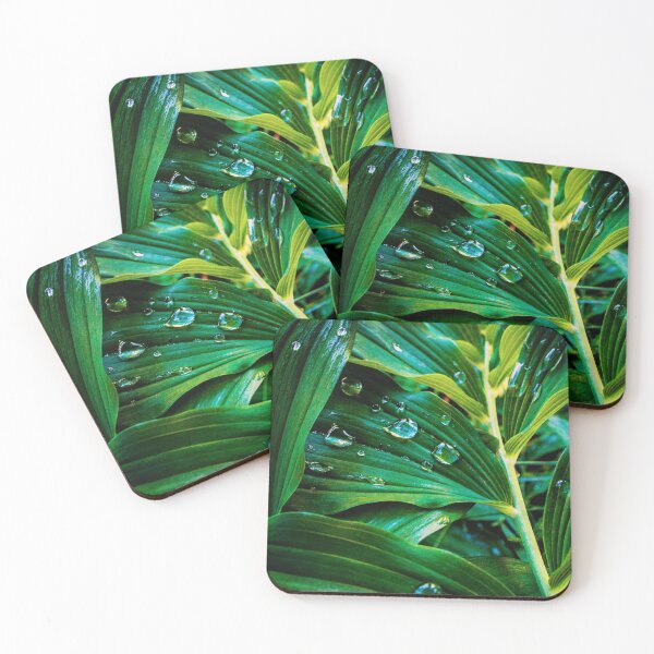 Item preview, Water drops on leaves designed and sold by JDCapson.