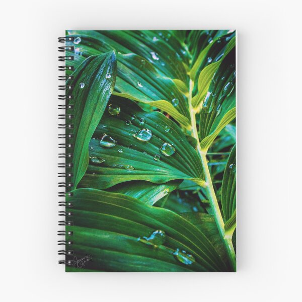 Item preview, Water drops on leaves designed and sold by JDCapson.