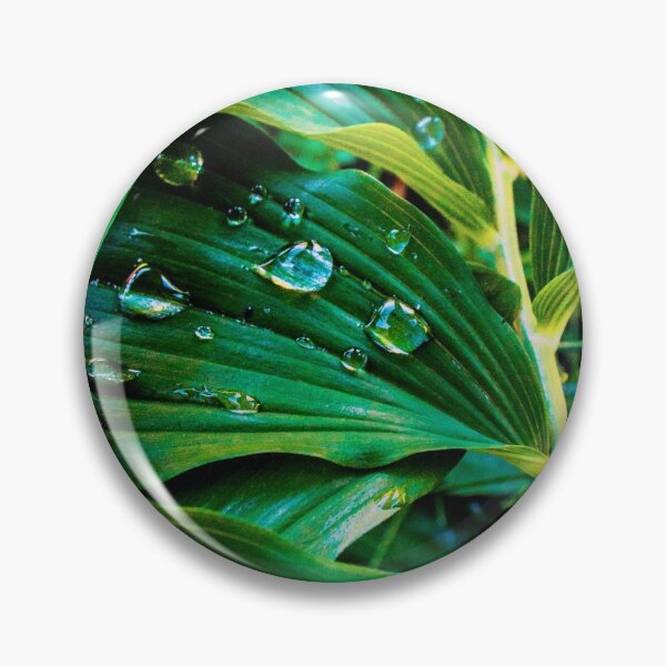 Item preview, Water drops on leaves designed and sold by JDCapson.