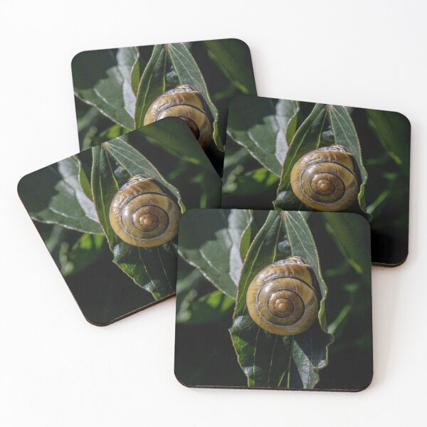 Item preview, Garden Snail chilling in the sun designed and sold by JDCapson.