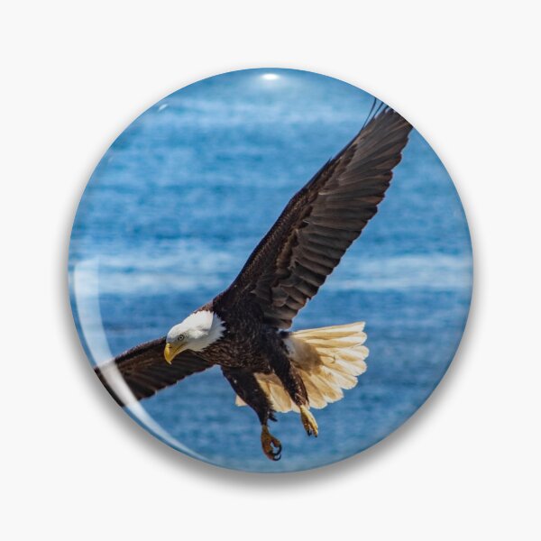 Item preview, Eagle at the beach designed and sold by JDCapson.