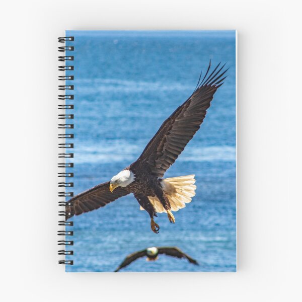 Item preview, Eagle at the beach designed and sold by JDCapson.
