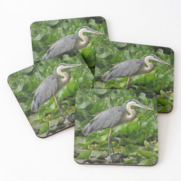 Item preview, Great Blue Heron Fishing Amongst Lily Pads designed and sold by Sam Morrison.