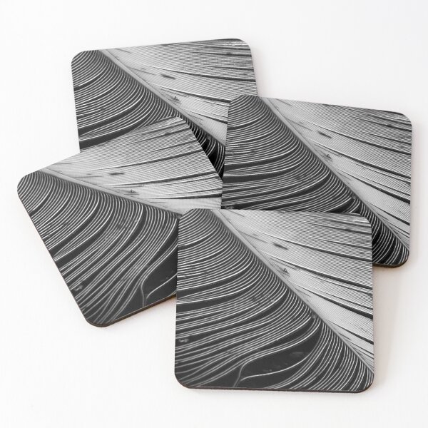Item preview, Abstract Swan Feather in Black & White - The Vicskburg Collection designed and sold by Sam Morrison.