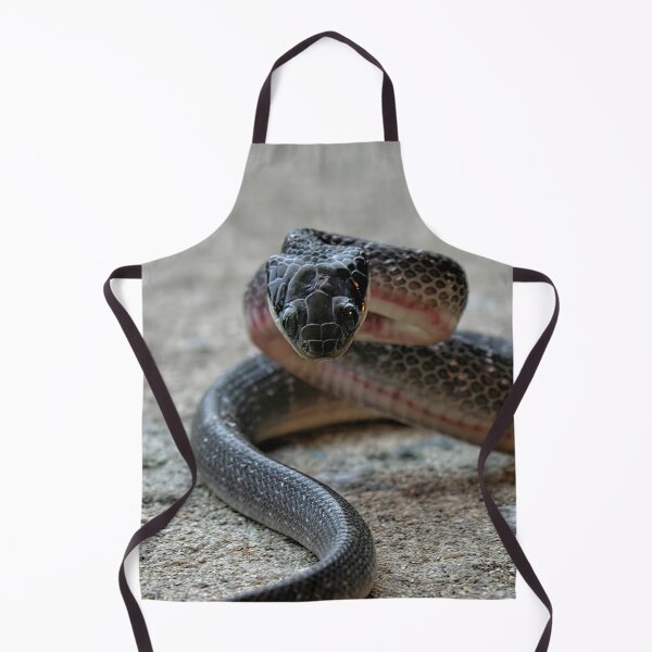 Item preview, African Snake, Ready To Pounce designed and sold by Mrspink16.