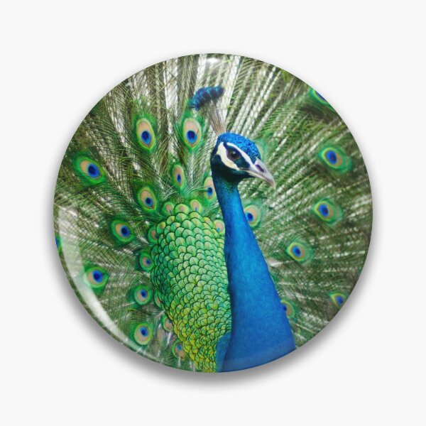 Item preview, beautiful peacock design designed and sold by PARNAZ2021.