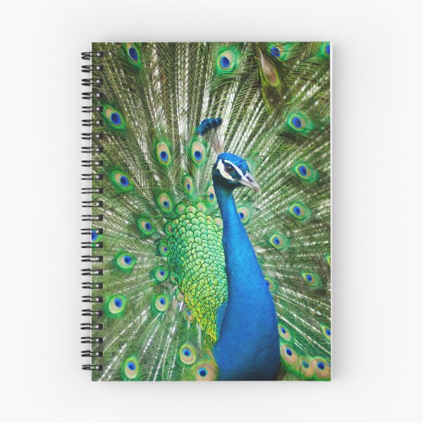 Item preview, beautiful peacock design designed and sold by PARNAZ2021.
