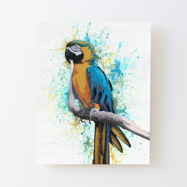 ABSTRACT VIBRANT MACAW PARROT COLOUR SPLASH CANVAS PICTURE POSTER UNFRAMED #2400